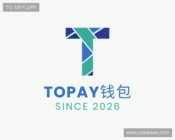 了解TOPAY钱包